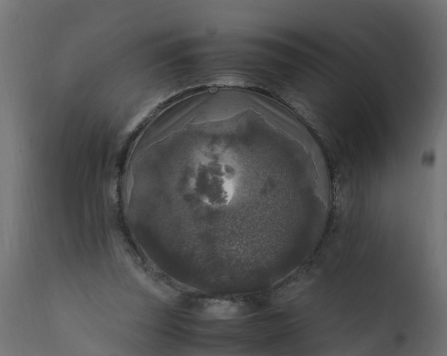 X0000110710347200906261437