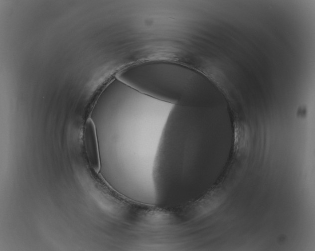 X0000110710348200906261437