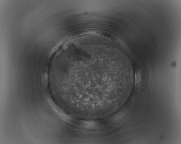 X0000110710349200906261437