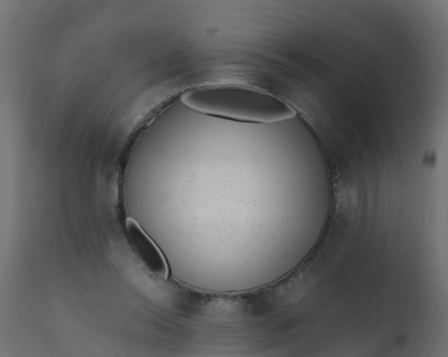 X0000110710350200906261437