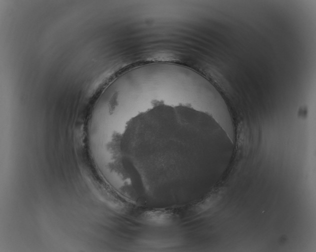 X0000110710351200906261437