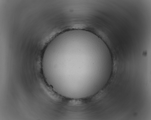 X0000110710354200906261437