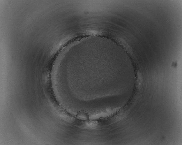 X0000110710355200906261437