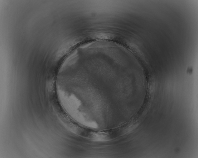 X0000110710359200906261437