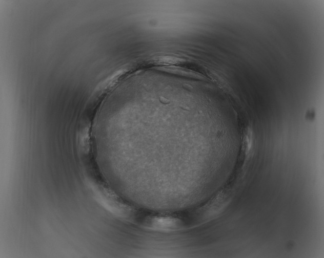 X0000110710360200906261437