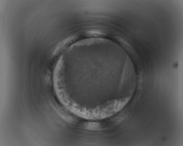 X0000110710361200906261437