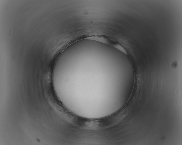 X0000110710362200906261437