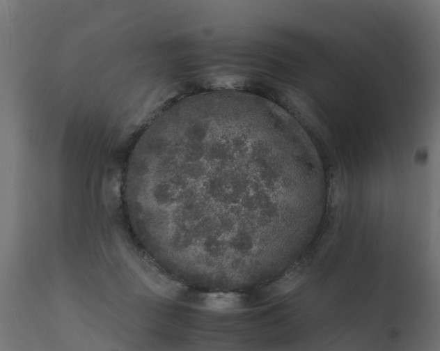 X0000110710363200906261437