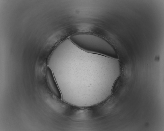 X0000110710364200906261437