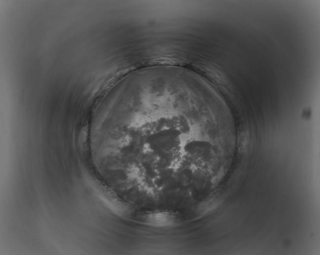X0000110710365200906261437