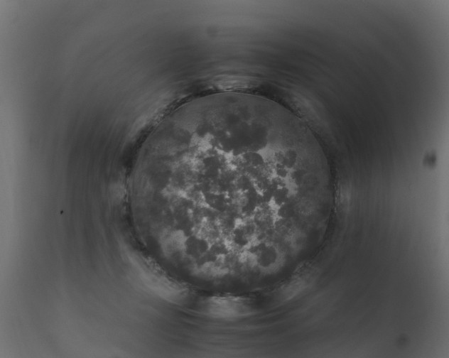 X0000110710367200906261437