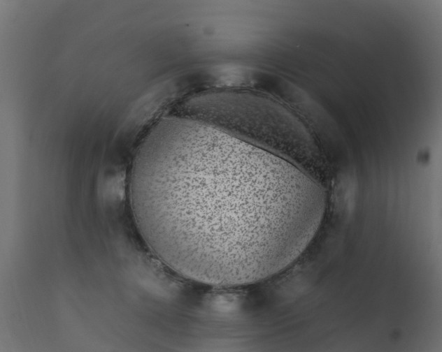 X0000110710368200906261437