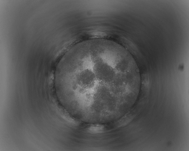 X0000110710369200906261437
