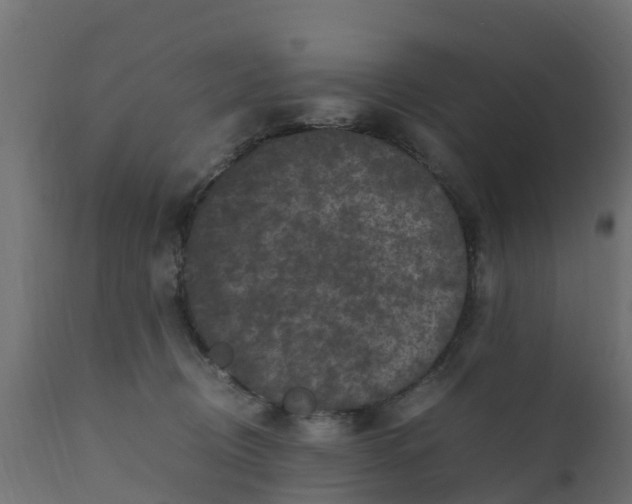 X0000110710370200906261437