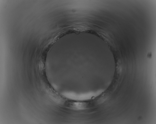 X0000110710371200906261437