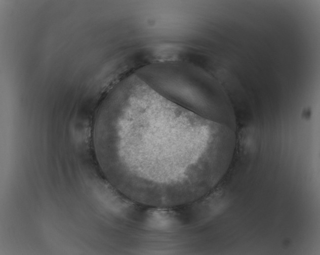 X0000110710372200906261437