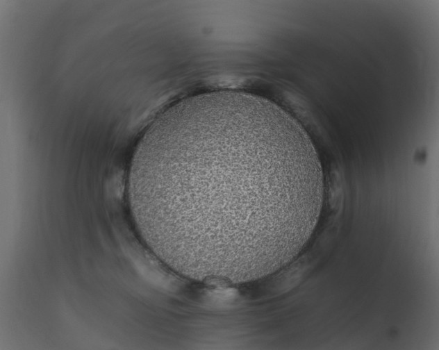 X0000110710374200906261437