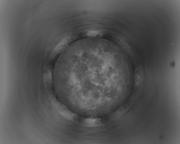 X0000110710375200906261437