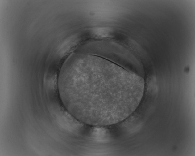 X0000110710376200906261437