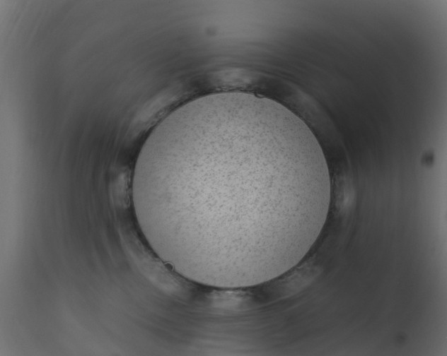 X0000110710378200906261437