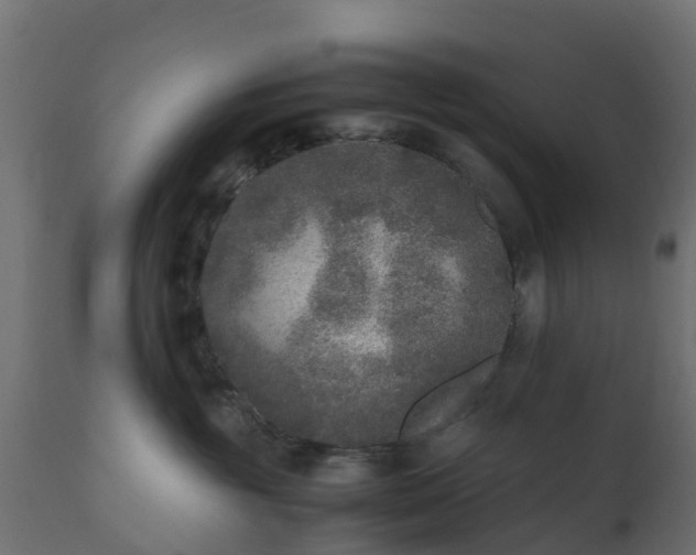 X0000110710381200906261437