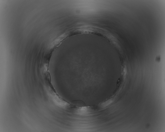 X0000110710382200906261437