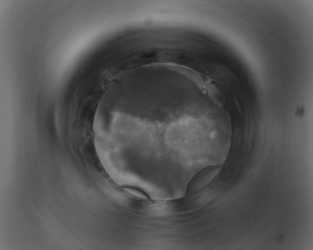 X0000110710383200906261437