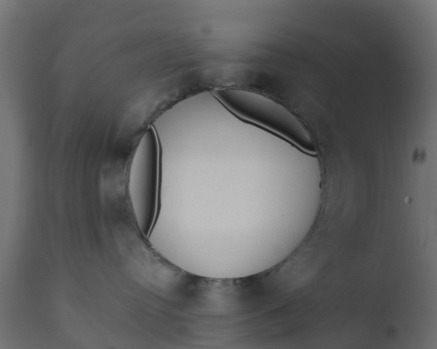 X0000110710384200906261437