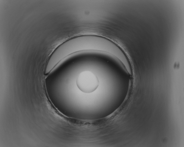 X0000110710385200906261436