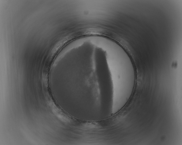 X0000110710386200906261436