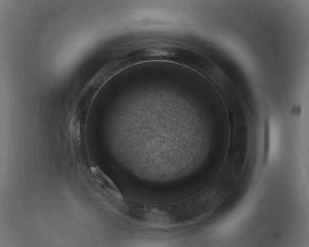 X0000110710387200906261436