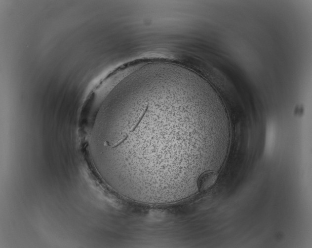 X0000110710388200906261436