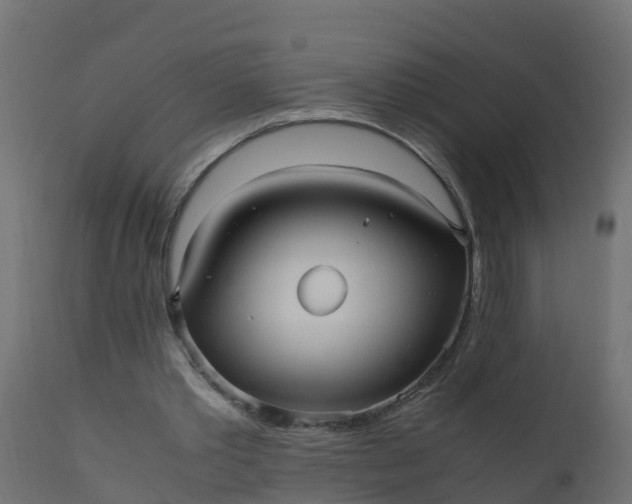 X0000110710389200906261436