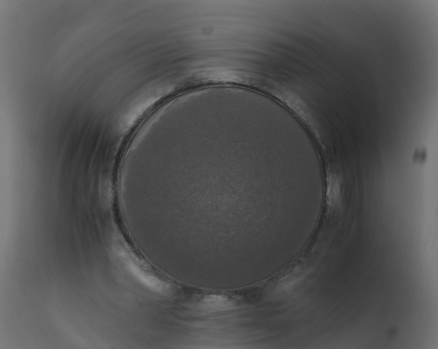 X0000110710390200906261436