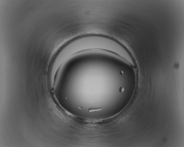 X0000110710391200906261436