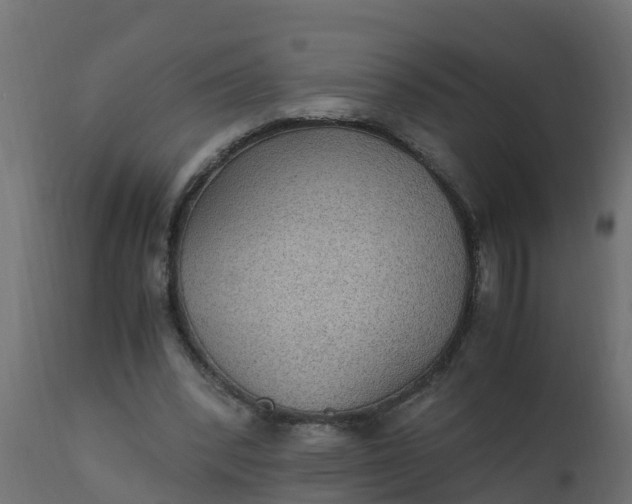 X0000110710392200906261436