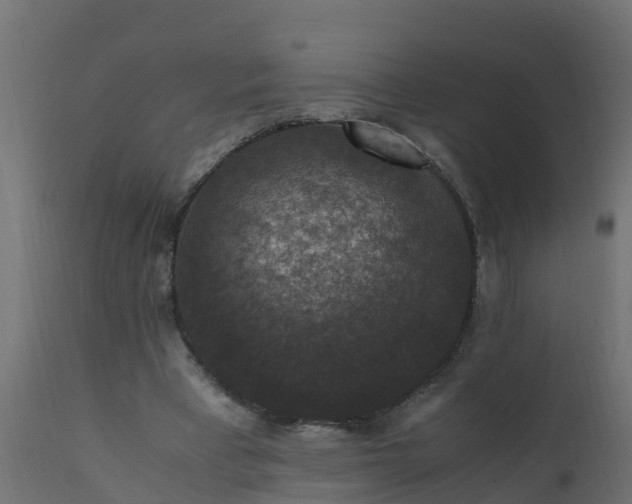 X0000110710393200906261436