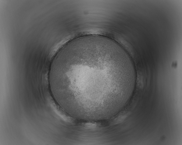 X0000110710394200906261436