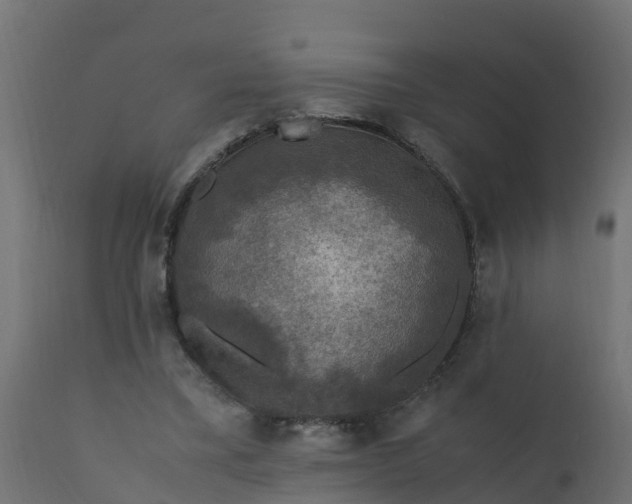X0000110710395200906261436