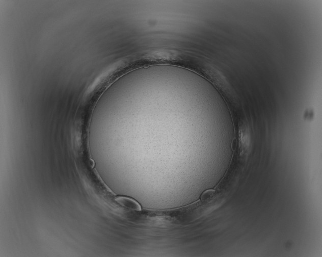 X0000110710396200906261436