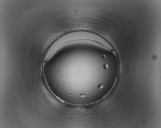 X0000110710397200906261436