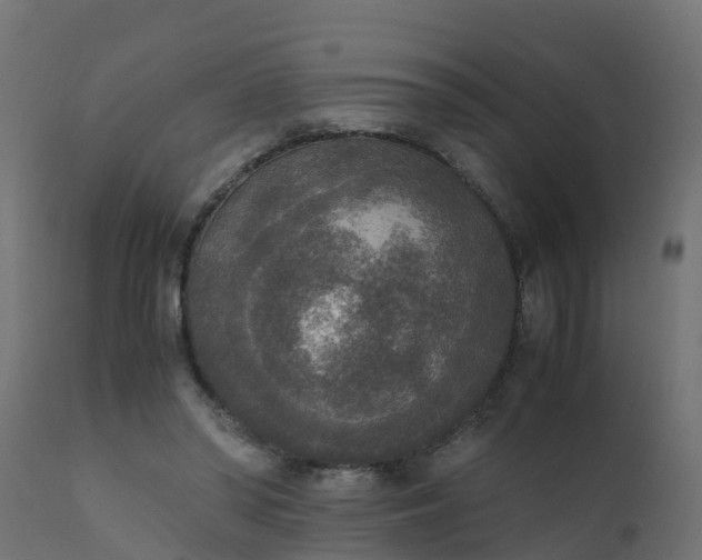 X0000110710398200906261436