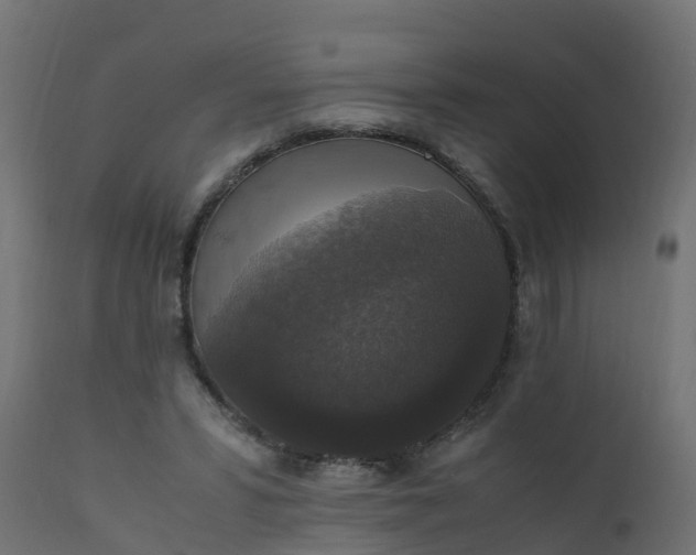 X0000110710399200906261436