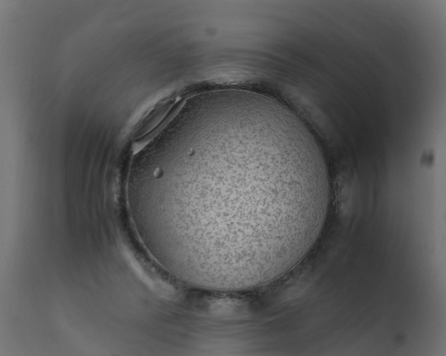 X0000110710400200906261436