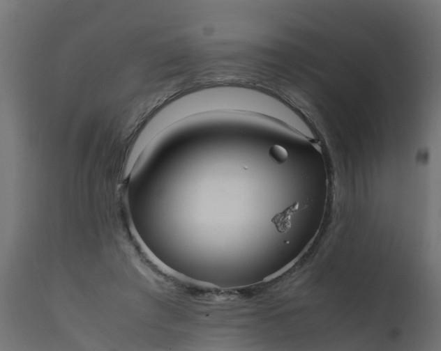 X0000110710401200906261436
