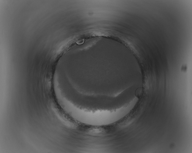 X0000110710402200906261436
