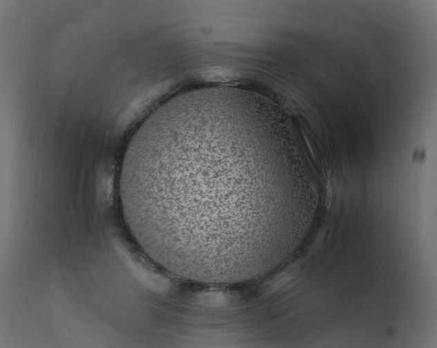 X0000110710404200906261436