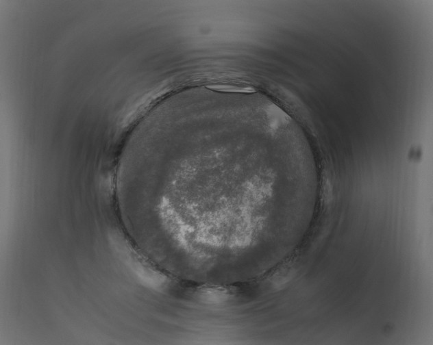 X0000110710405200906261436