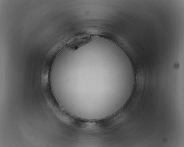 X0000110710406200906261436