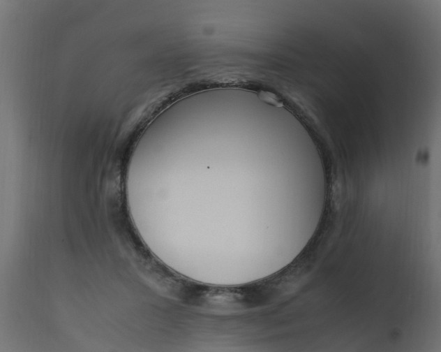 X0000110710407200906261436